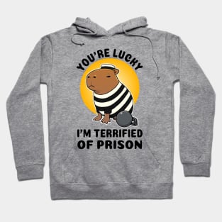 You're lucky I'm terrified of prison Capybara Prisioner Hoodie